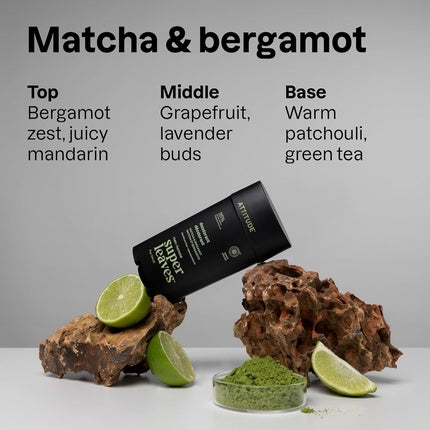 Attitude Aluminum-Free Deodorant for Men with 95% Natural Origin Ingredients