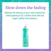 Malibu C Hydrate Color Wellness Shampoo 33.8 oz - Color Protect Shampoo for Color Treated Hair