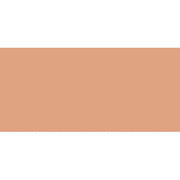 Liquid Corrector (Real Flawless Concealer) 5.4 ml Shade 2N1