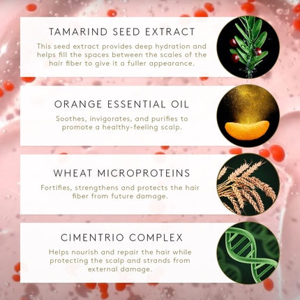 Rene Furterer TONUCIA Replumping Shampoo for Thin Weakened Hair Redensifies Revitalizes Pro-youth Ritual 20.2 Fl Oz