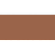 Skin Corrector Stick 3g Shade Very Deep Bisque