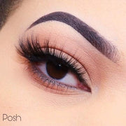 3D Faux Mink Lashes Posh False Eyelashes