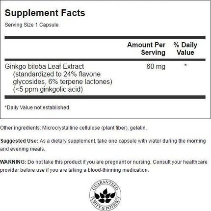 Swanson Ginkgo Biloba Extract 24% 60mg 120 Capsules
