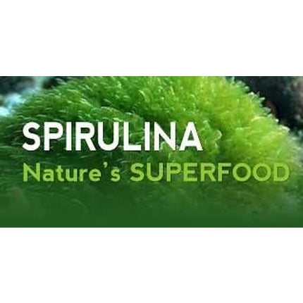 Swanson Spirulina Blue Green Algae 500mg 360 Tablets