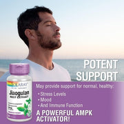 Solaray Jiaogulan 820mg 60 VegCaps 410mg