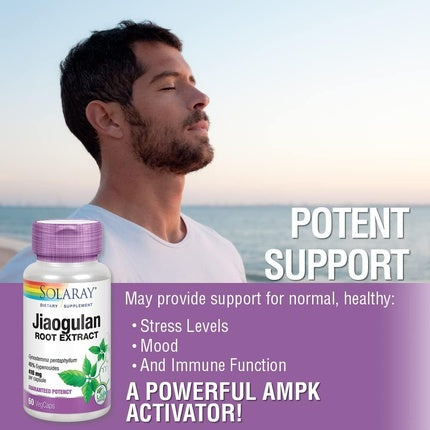 Solaray Jiaogulan 820mg 60 VegCaps 410mg