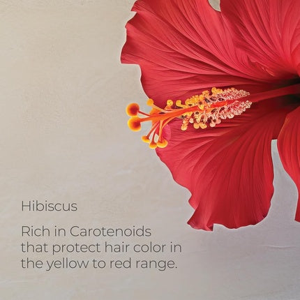 L'Anza Healing Colorcare Colour Preserving Trauma Treatment 1000ml