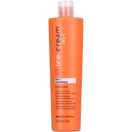 Inebrya Dry-T Shampoo 300ml