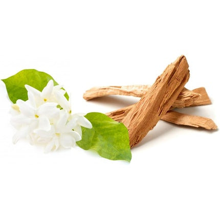 Derek Lam 10 Crosby Ellipsis Eau De Parfum Fragrance for Women Australian Sandalwood & Jasmine 5.9 oz/175 ml