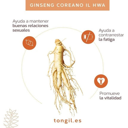 Ginst15 Tea Il Hwa Korean Ginseng Extract Soluble Granulated Tea 30 Sachets