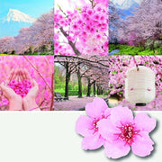 Yankee Candle Sakura Blossom Festival Small Jar