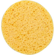 Calysia Large Vegetable Sponge