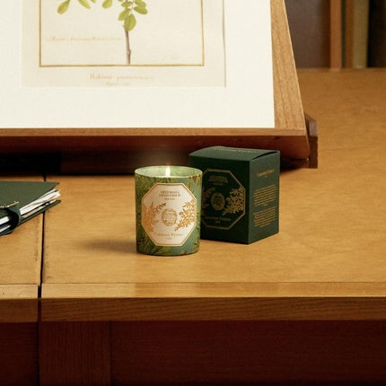 New Carriere Freres Absinthe Candle 185g