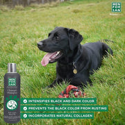 Menforsan Black Shampoos
