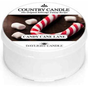 Shumee Country Candle - Candy Cane Lane - Daylight Candle 42g