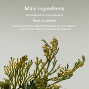 Abib Collagen Eye Cream Jericho Rose Tube for Dark Circles and Puffiness