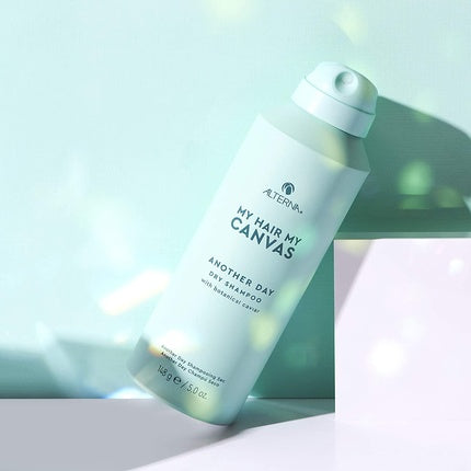 My Hair My Canvas Another Day Dry Shampoo 142g