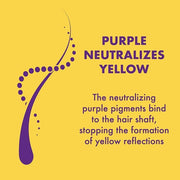 BIOPOINT Purple Conditioner for Blonde or Bleached Hair Cromatix Silver 250ml