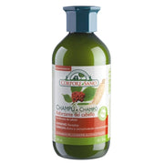 Corpore Sano Reinforcing Shampoo With Ginseng And Ginkgo 300ml