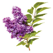 CHI VolumeCare Volumizing Conditioner 25 fl oz