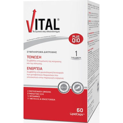 Vital Plus Q10 Dietary Supplement For Energy Boost With Coenzyme Q10 - 60 Capsules