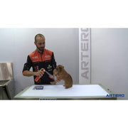 Artero Speed Dry Shampoo Spray 300 Ml