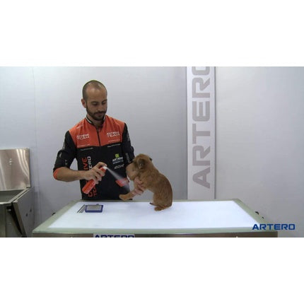 Artero Speed Dry Shampoo Spray 300 Ml