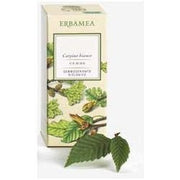 Ficus Carica Gemme Gemmoderivato Bio 50ml