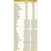 Dr Giorgini Acciaiovis Tablets 90g Iron Supplement