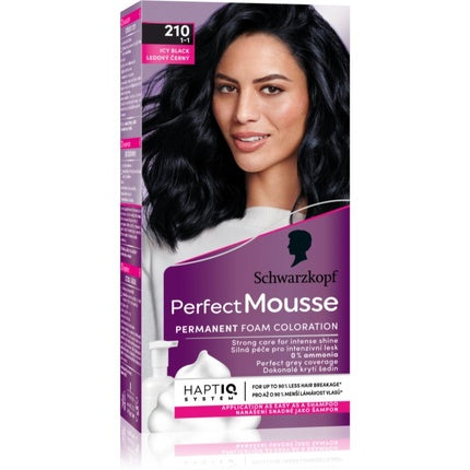 Schwarzkopf Perfect Mousse Permanent Hair Color 210 Icy Black