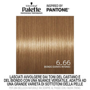 Schwarzkopf Palette Hair Color 6-66 Golden Blonde