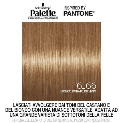 Schwarzkopf Palette Hair Color 6-66 Golden Blonde