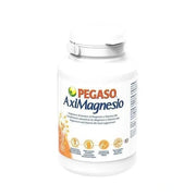 Schwabe Pharma Italia Axeimagnesio 100 Tablets