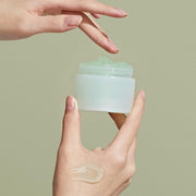 Ongredients Fresh Soothing Cream Daily Moisturizing Cream with Niacinamide