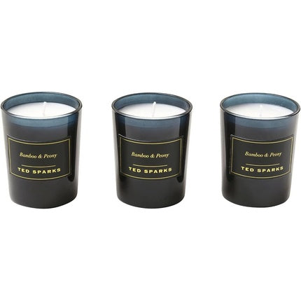 Ted Sparks Mini Candle Gift Set Bamboo & Peony Scented Candles in Glass