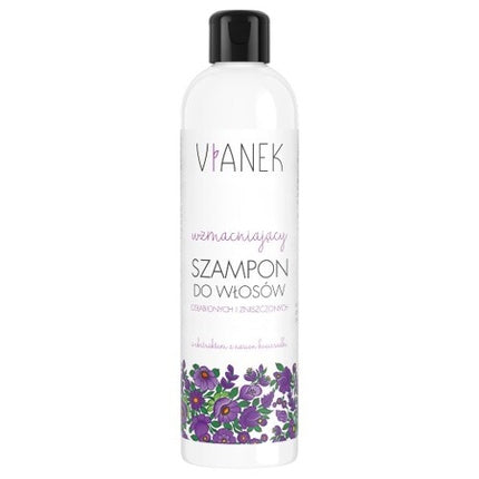 Vianek Intensive Care Shampoo Strengthening for Dry Hair 300ml