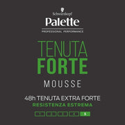 PALETTE Strong Foam 250ml Professional Hair Dye