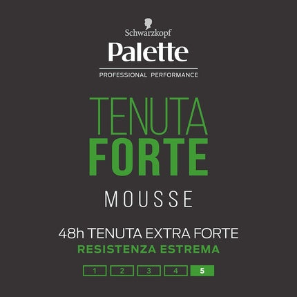 PALETTE Strong Foam 250ml Professional Hair Dye