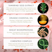 Rene Furterer TONUCIA Replumping Shampoo for Thin Weakened Hair Redensifies Revitalizes Pro-youth Ritual 20.2 Fl Oz