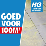Hg Green Floor Cleaner Concentrate 1000ml