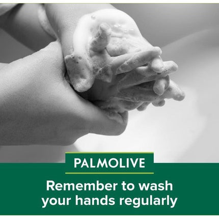 Palmolive Liquid Hand Soap Hygiene Plus 300 Ml