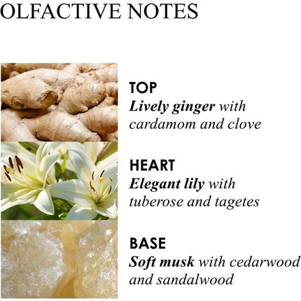 Molton Brown Gingerlily Three Wick Candle 480g