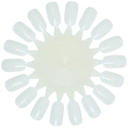 Xanitalia Pro Xan Pro Nail Display Wheel