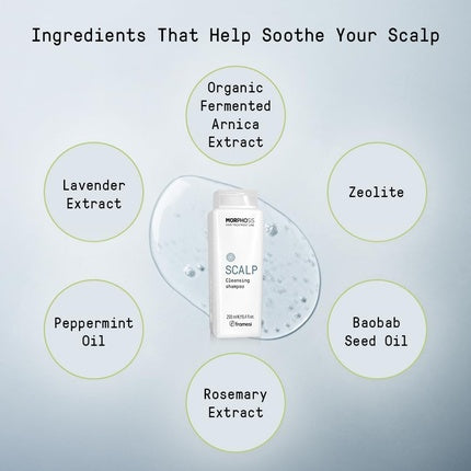 Framesi New Morphosis Hair Treatment Line Scalp Cleansing Shampoo 250ml