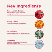 Frudia Pomegranate Honey 3-In-1 Lip Balm 10g