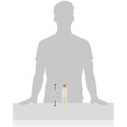 Aveda Rosemary Mint Purifying Shampoo 250ml