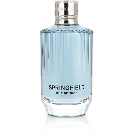 Springfield True Attitude 100 VAP -D