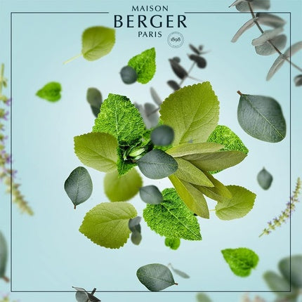 Lampe Berger Scented Bouquet Matali Crasset 100% Natural Cotton Wick Prefilled with Fragrance Eternal Sap 180 milliliters