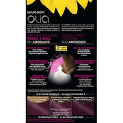 Garnier Colour Accessories 3.16 Violin 1 Count