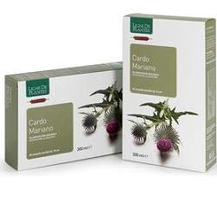 Organic Milk Thistle Drinkable Ampoules 20 x 15ml